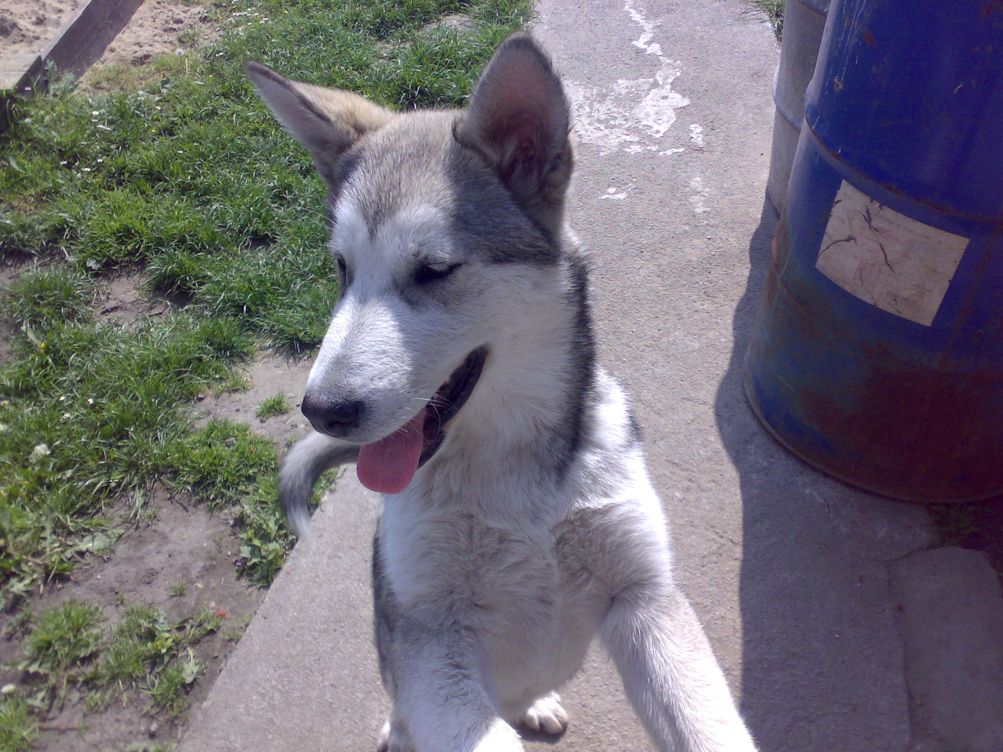 16052008460.jpg