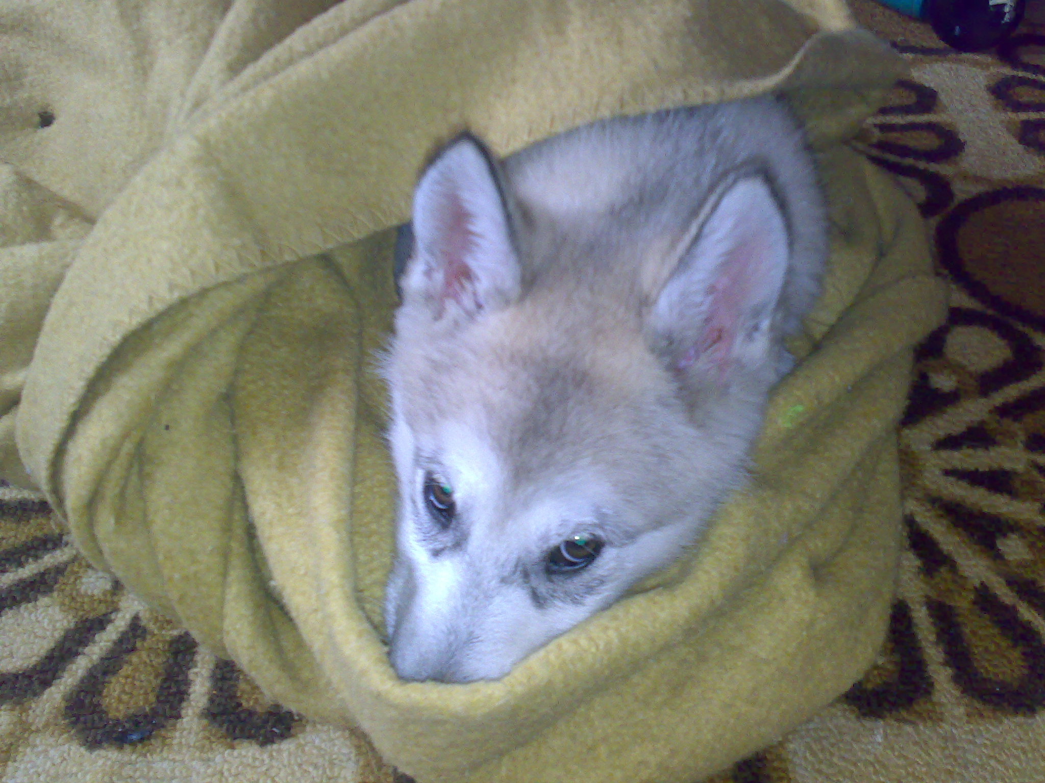 23032008407.jpg
